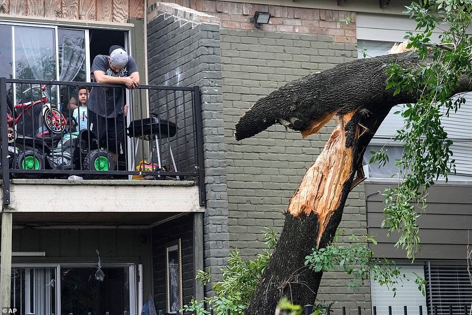 A man stands on his balcony near a fallen tree in the aftermath of a severe storm